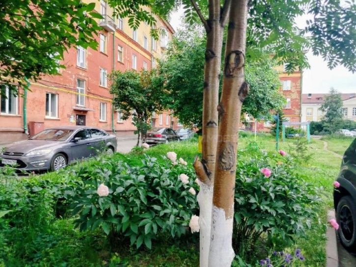 2-комн квартира Советский пр-кт, 28