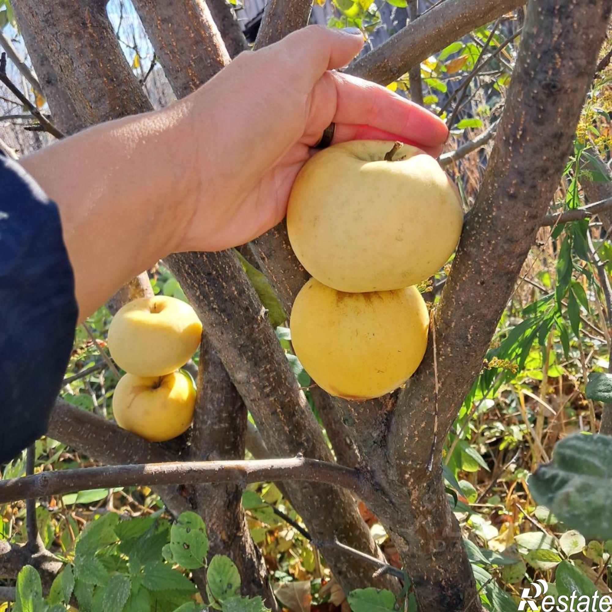 Купить землю, земельный участок за 1 950 000 рублей на Промышленновское шоссе, 54А