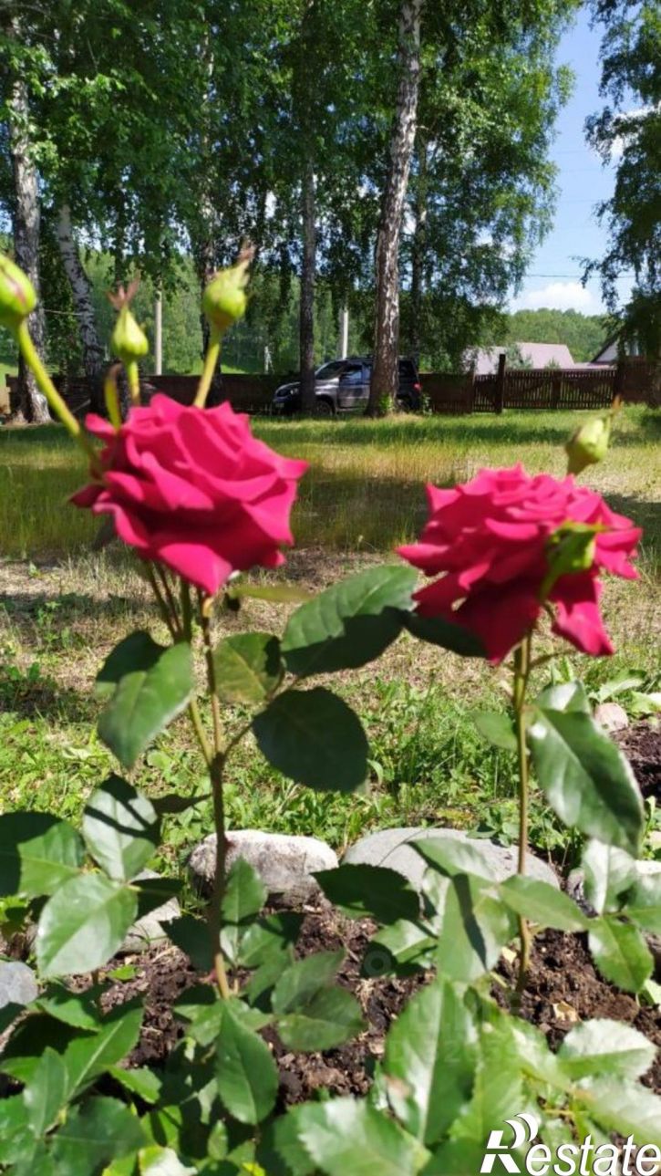 Коттедж/дом Российская улица, 19Б,  д. 19Б