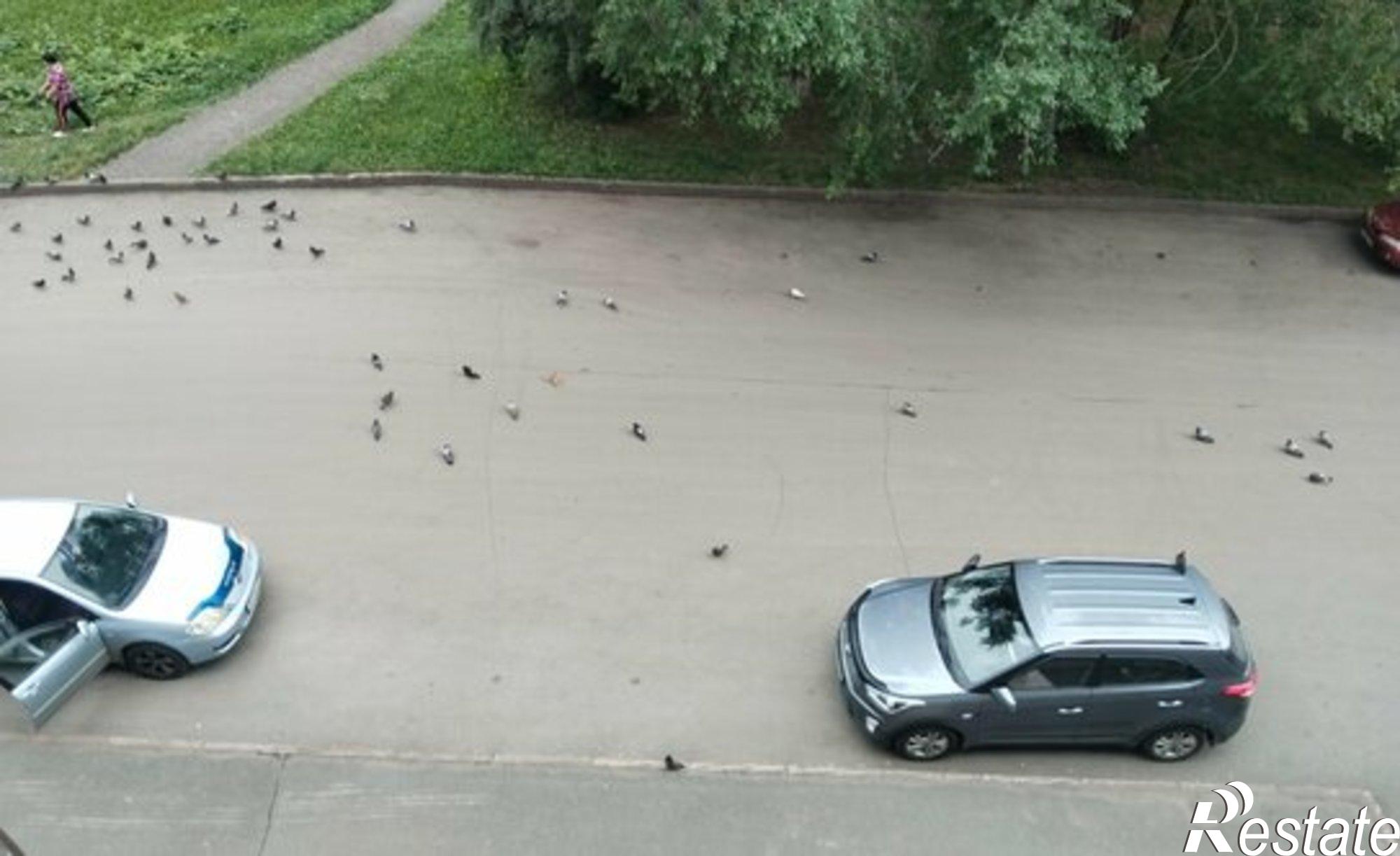 Купить квартиру за 2 850 000 рублей на улица Металлистов, 16