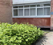 3-комн, 65кв м, этаж 1/4 Ударная улица, 12