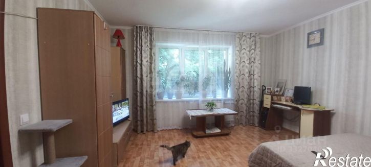 1-комн квартира Октябрьский пр-кт, 61а,  д. 61а