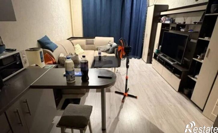 2-комн квартира пр-кт Химиков, 36,  д. 36
